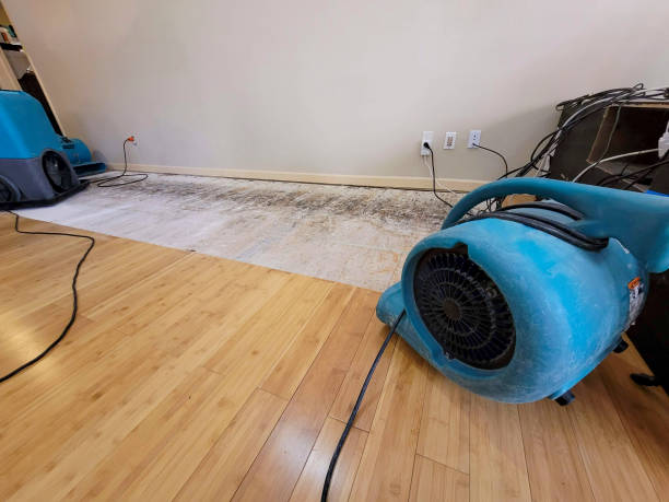 Professional Basement Flood Cleanup technician working in Chalfont, PA